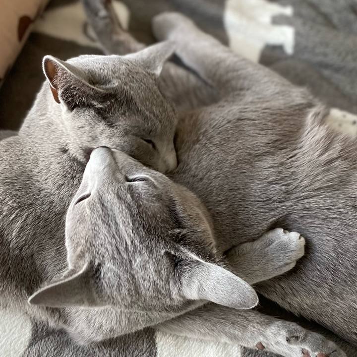 Fecac7cb 5b1c 4c8c bd07 c11078f34165 1647299214611