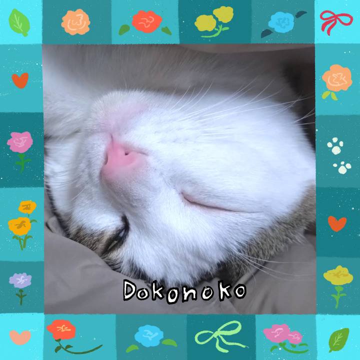 Fecad9f5 0d79 4967 9474 cb2516a50393 1715511277906