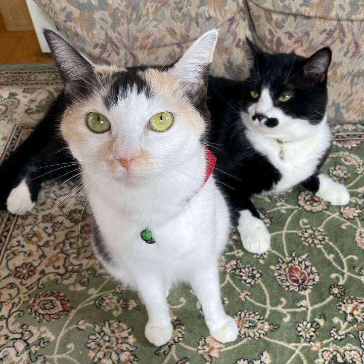 Fecb0017 9bce 4dce a6fb 717dd21a8973 1724545781266