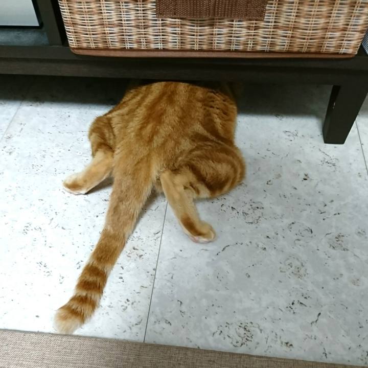 Fecb095c 40e2 4c1f a524 7cbba7d573ec 1546867033581