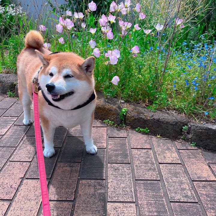 Fecb2341 f62b 44ff b27b 509b7872b1ff 1682849395304