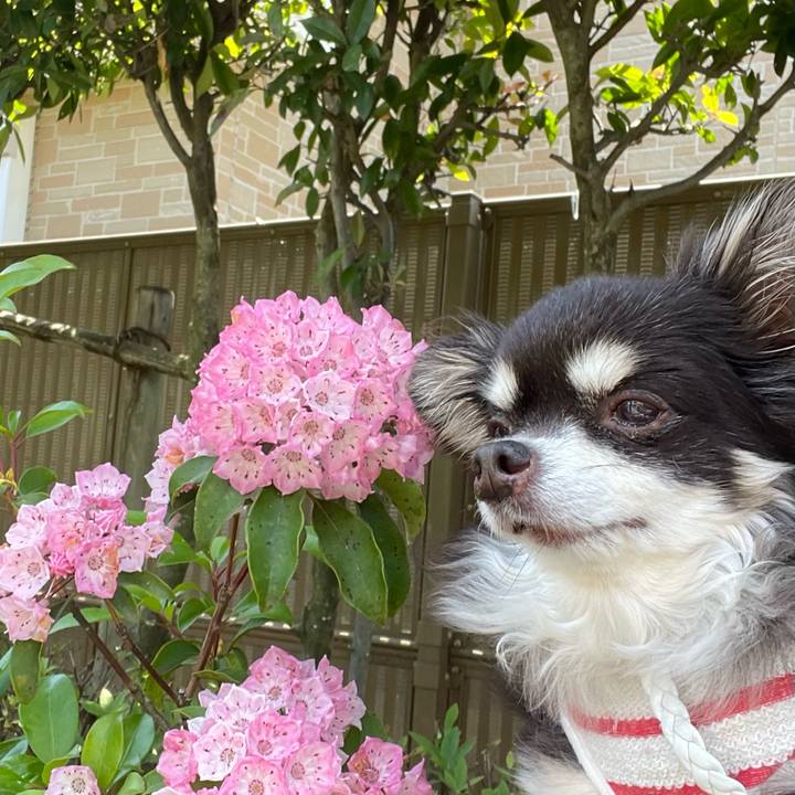 Fecb4f42 ffae 44cf 97bd 56c5b3019669 1653378027488