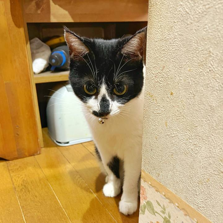 Fecb52a6 f218 4280 95a6 22f1769da9d0 1760482242692