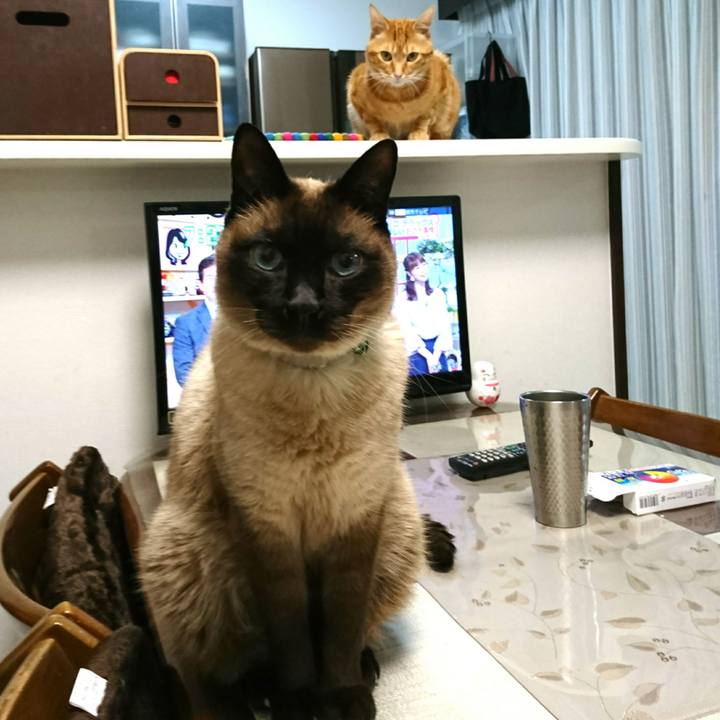 Fecb681c ea46 4179 9bb5 a35f4d4ddcec 1522276137121