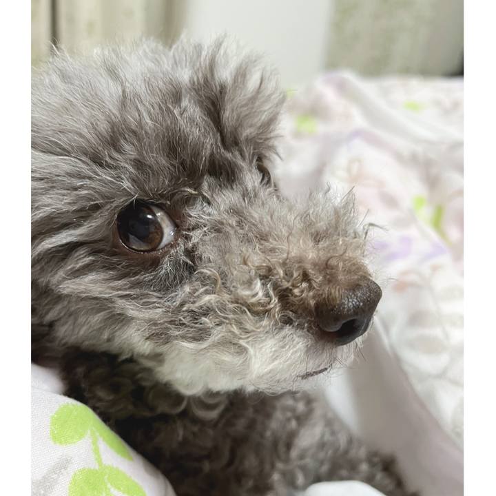 Fecb8ca3 c2f4 45fa b8c8 e5665ea3f741 1684622907810