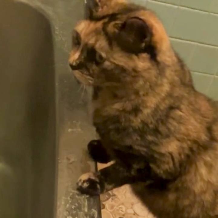 Fecb8e50 83fc 4fa9 b3af c3e078d9e65e 1730921847103