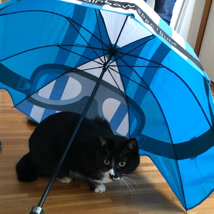 Fecb9f61 bfcc 4e85 bd7e 0d53a3410609 1557459963866