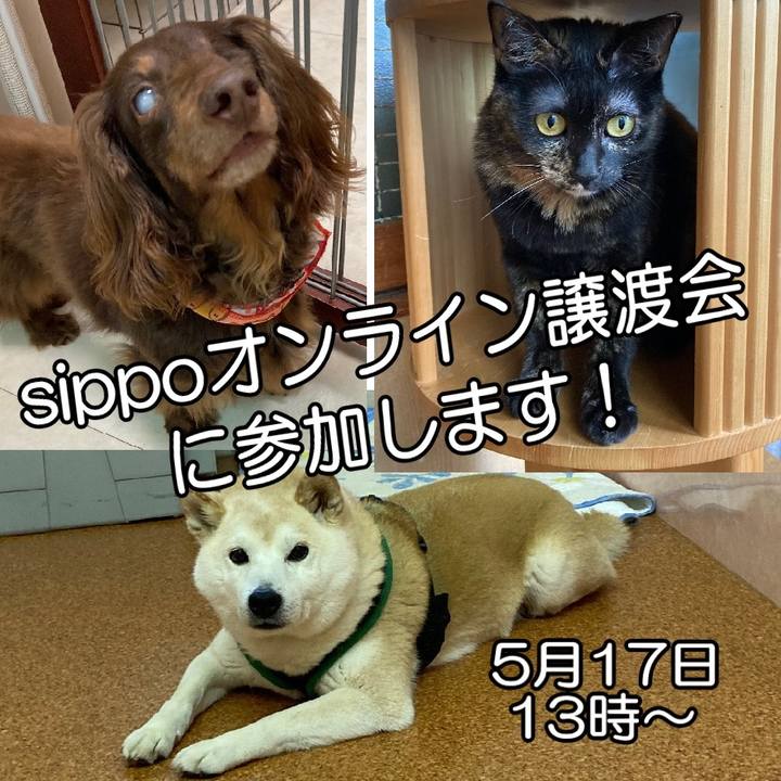 Fecbc407 a33b 45dc adb1 81415b6f71ec 1589339057251