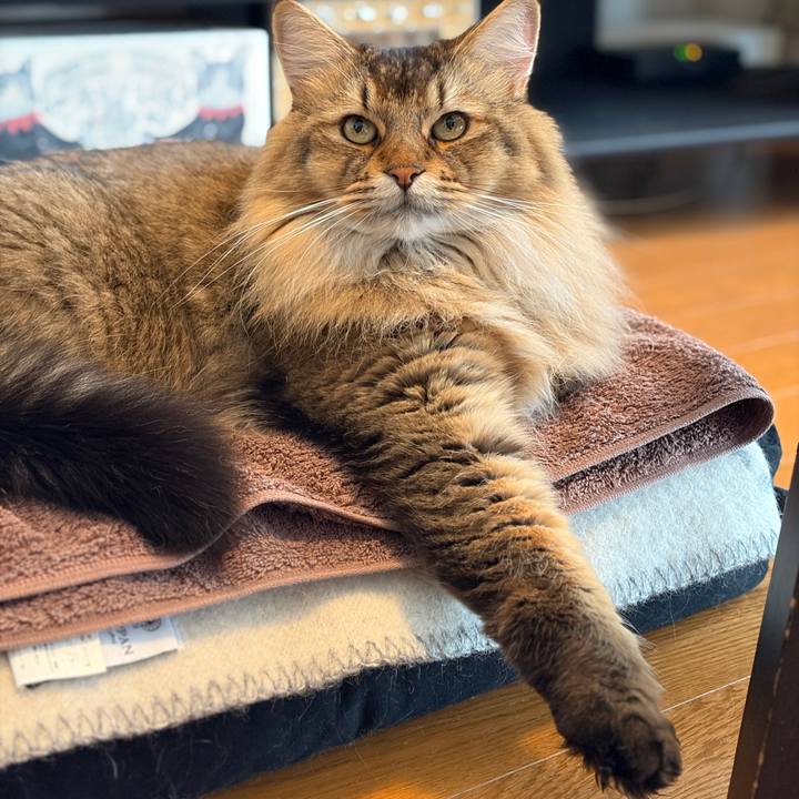 Fecbf82f 90d6 4845 953c 163ed07bc57e 1763862771385