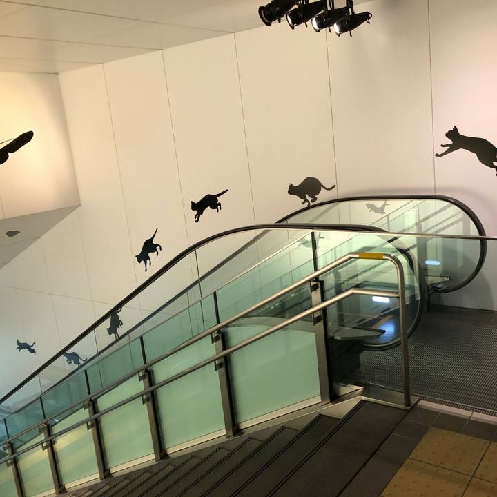 Fecc1882 201c 4cee a5de a4539f7b37fb 1621637142914