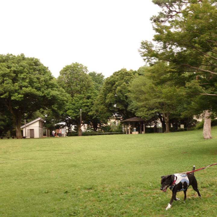 Fecc2238 210c 4489 bec1 14062d810702 1750376790206