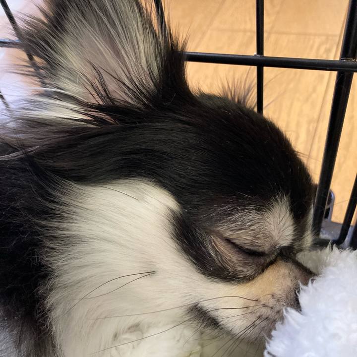 Fecc34ba ea6b 4653 9da3 6443bf1466cc 1643464162363