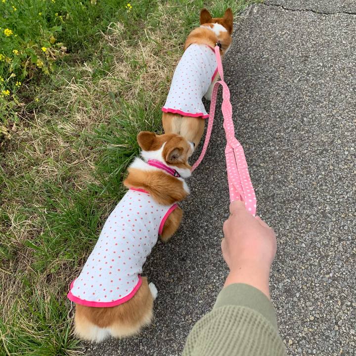 Fecc589d 1ac0 4db1 bb66 2b29cc58943e 1617344749091