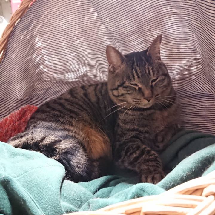 Fecc7e9f 43f6 49e2 892c 01385e624b55 1643632362274