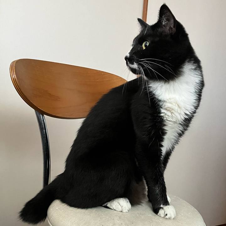 Fecc9adc 4236 46f8 8b4e af07cd67dbbb 1763092941753