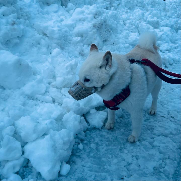 Feccc60b bb64 4bce 9339 8fe04cb5588c 1765755224731