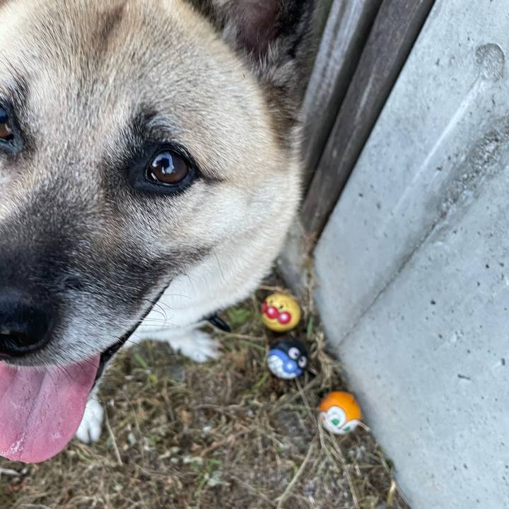 Fecd2da7 ac75 4d53 a138 77825ff718bf 1722684150320