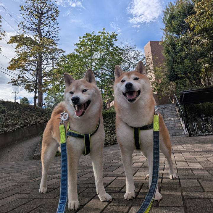 Fecd2dad b3af 460c 82d6 1bef030aa36a 1757554486851