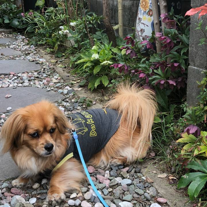 Fecd663d b3e0 4a61 bd6c bda5568251d5 1553909659919