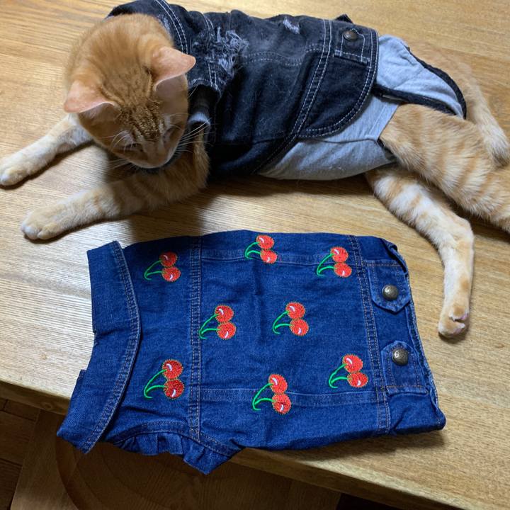 Fecd8567 e908 4204 85c8 498a1db491ad 1661852841285