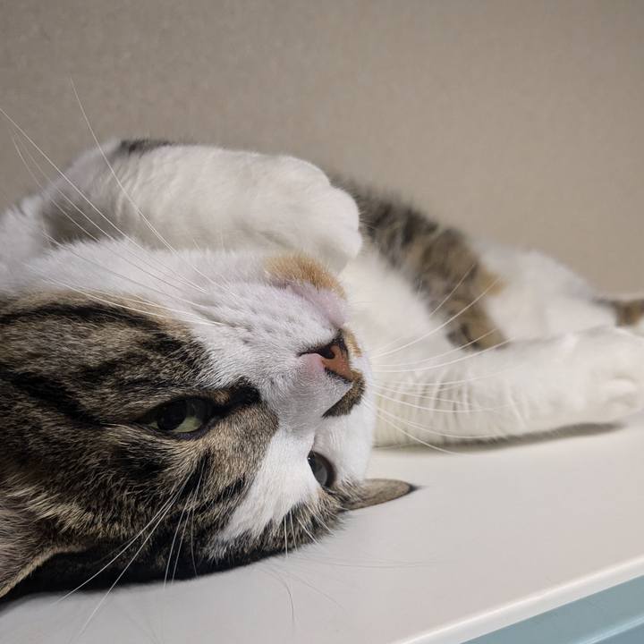 Fecdc0d0 1f52 4c35 89b3 5068f4efe3b4 1726747014379