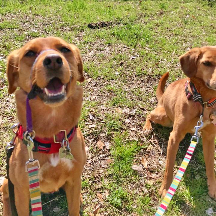 Fece2ca8 7bdb 411e b8dd 1b439107d253 1521862225302