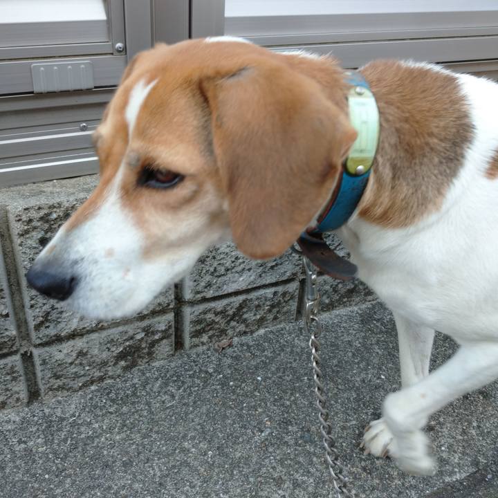 Fece314b d0a5 4722 94d8 ca42e7e9230d 1605668758297