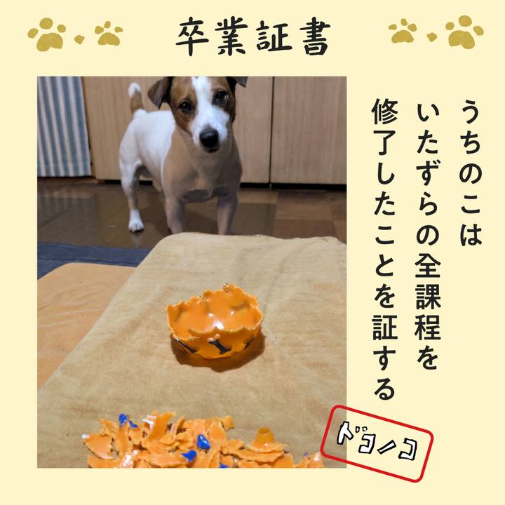 Fece982a a17b 4be7 8993 29bfb48e927e 1772086803103