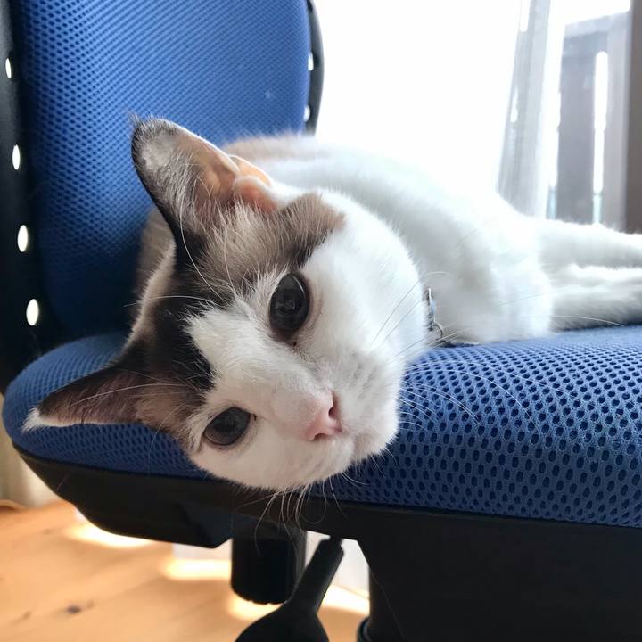 Feced141 b925 422d 89d8 4e3106d786d8 1630915423948