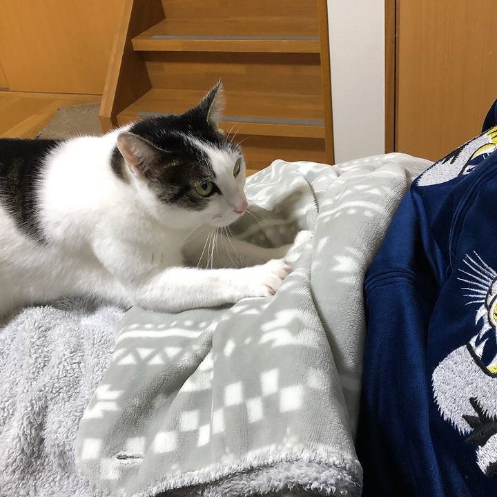 Feced73a a803 4c01 bd3c 28e00de0f276 1668600137955