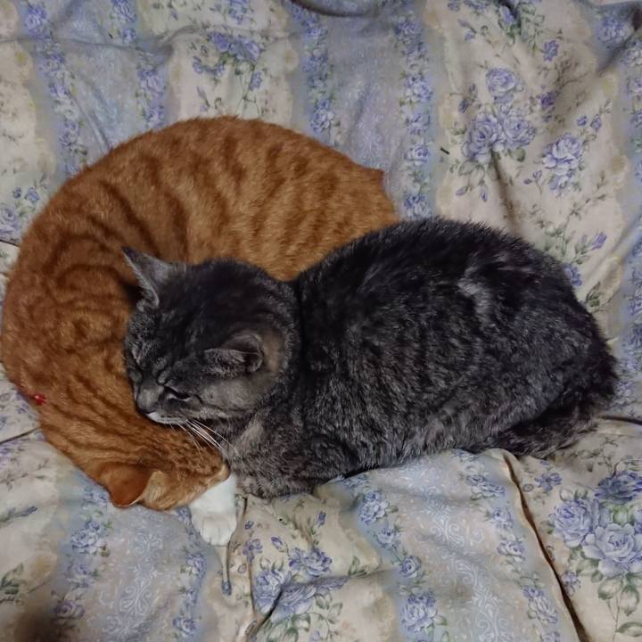 Fecee6b6 0c50 4622 b4a6 84261eb29d21 1579089864093