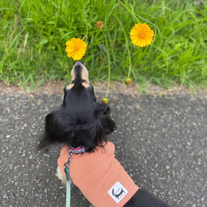 Feceffd2 23d7 43bc 9e93 88fb2d1c2dae 1749368916879