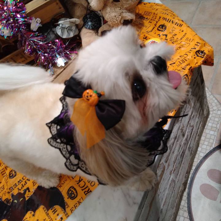 Fecf4b40 3ee9 487d ab72 2c3a3f687f4b 1635636483907