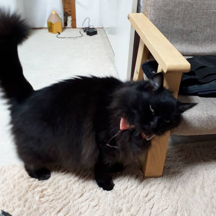 Fecf65e5 a1c0 41d3 8a58 5d02ea1ddd64 1521142175687