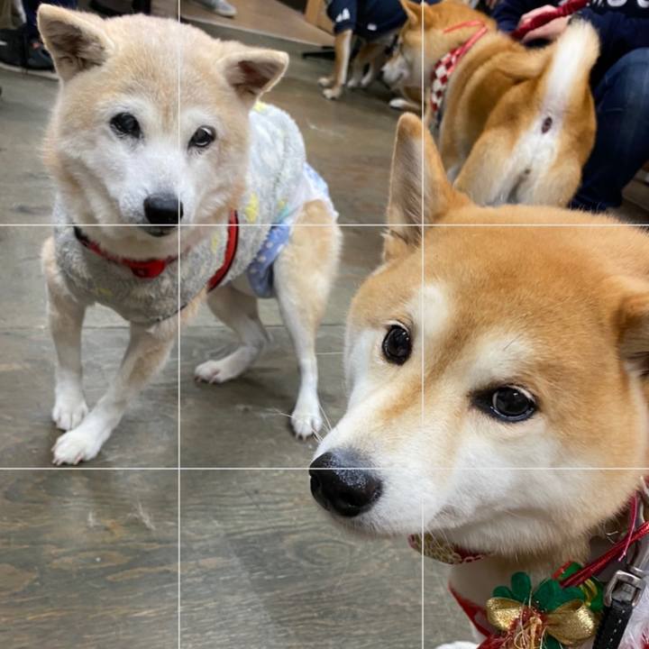 Fecfb6c1 fdfe 4444 9fa6 f22f848417ab 1601989349886