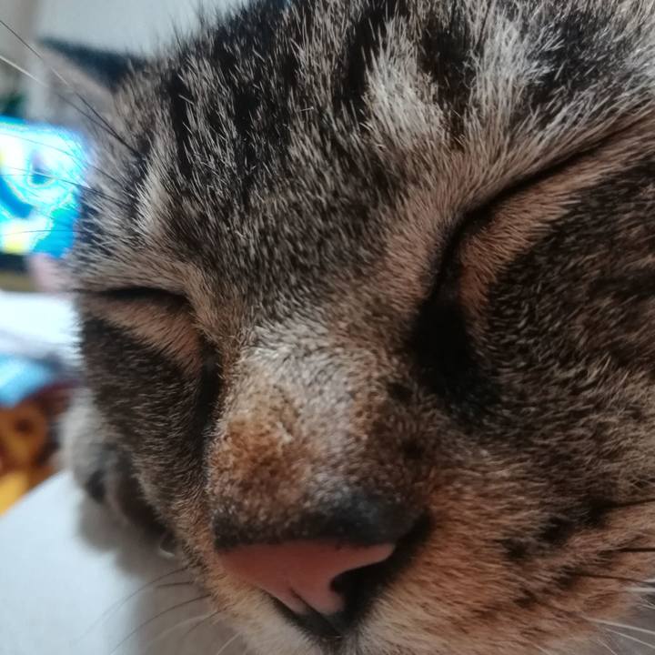 Fecfbca4 44a9 4799 a4e8 a0d6acadd979 1536578237553