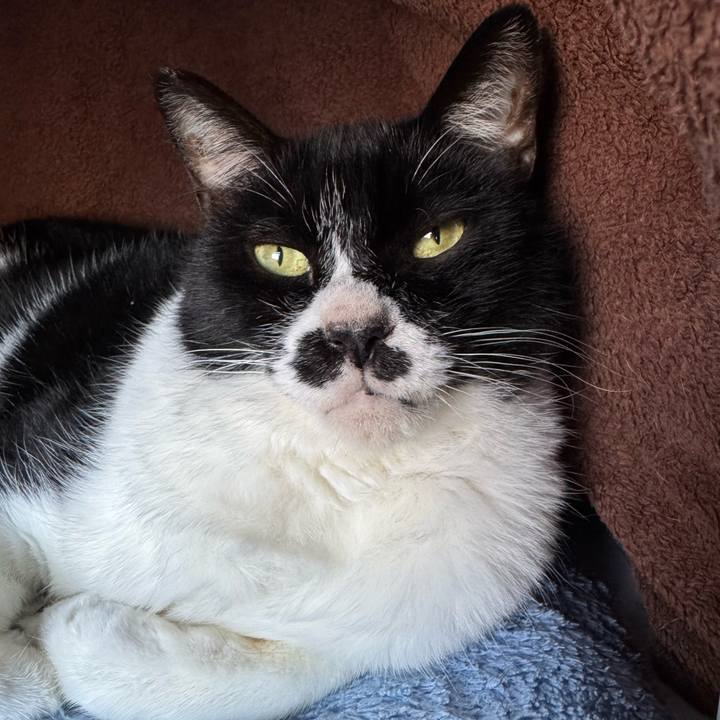 Fecfe057 24ce 448c a66d 4bd44f18af3f 1764392783987