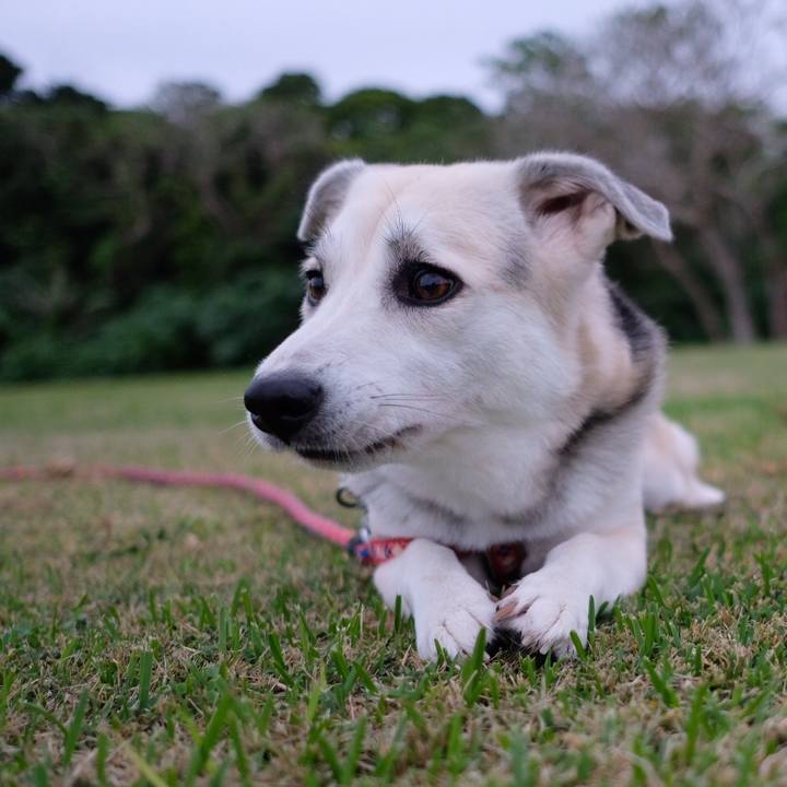 Fecfecef 4d8f 44fd b28b 174121174153 1544005955264