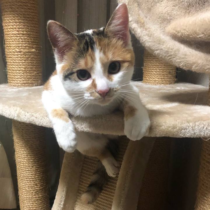 Fed0013a 4a21 4b10 bfd7 1871db0cfa4c 1573912133091