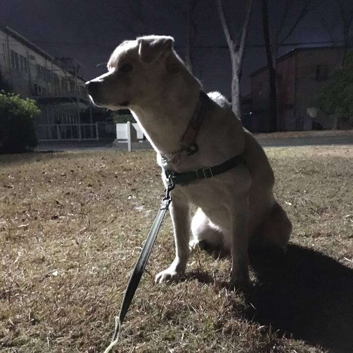 Fed01946 3408 4bc8 9d4d 865e2fa75ac7 1513953682670