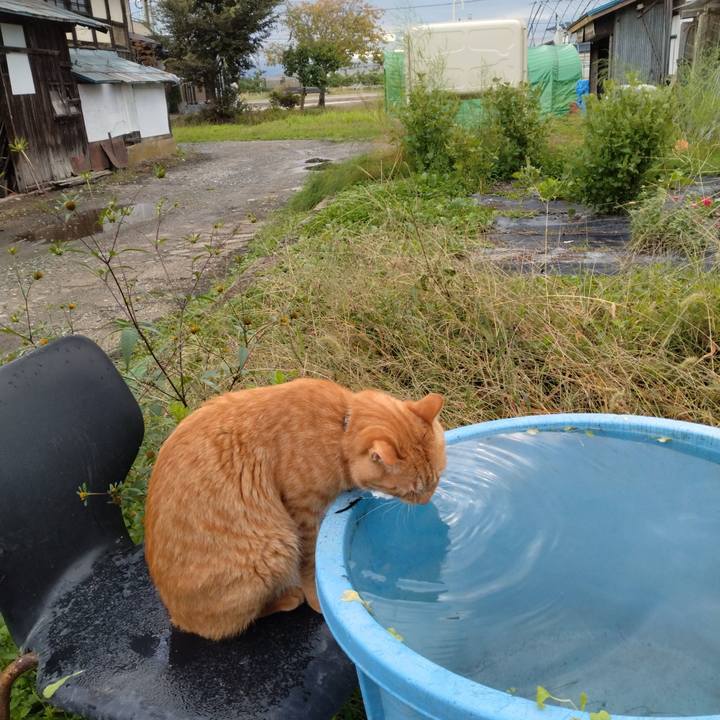 Fed03918 b304 4957 859b 32bf36178347 1665438526708