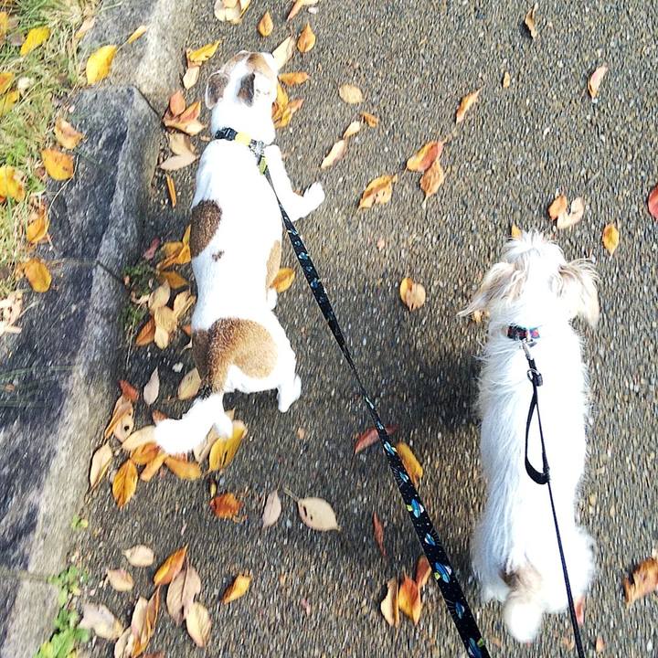 Fed049c5 0140 4202 94d1 56fbf7876596 1573894879755