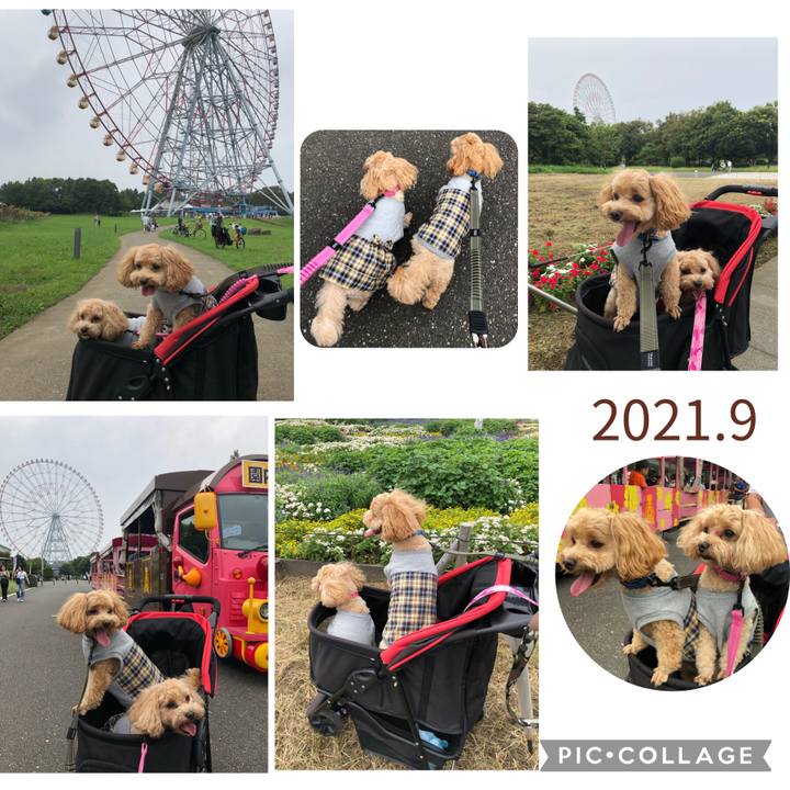 Fed06025 2e49 49b2 82a2 bbeb073331f3 1631445321312