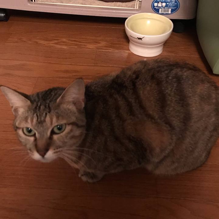 Fed103d0 632d 4190 89f8 bfc2aa984d22 1582705681747