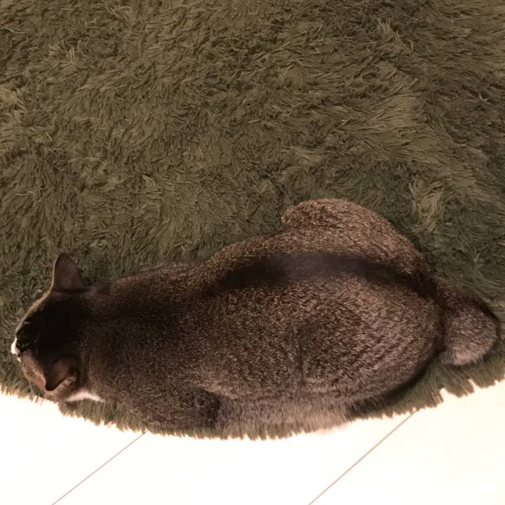 Fed11be8 f020 43f3 a13f f1f03a0d7c50 1509519408528