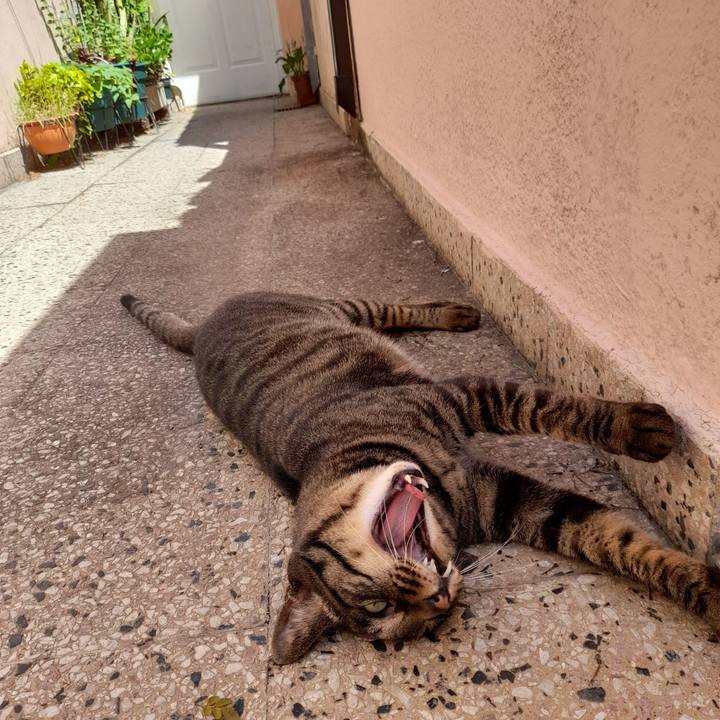 Fed11bfb 2c75 49fc 87ec c7a8119a0416 1763258358190