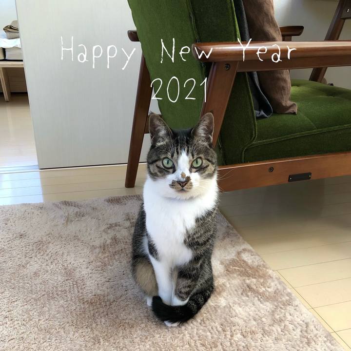 Fed21225 4031 46cb ae6c ed26833c868c 1609480866723