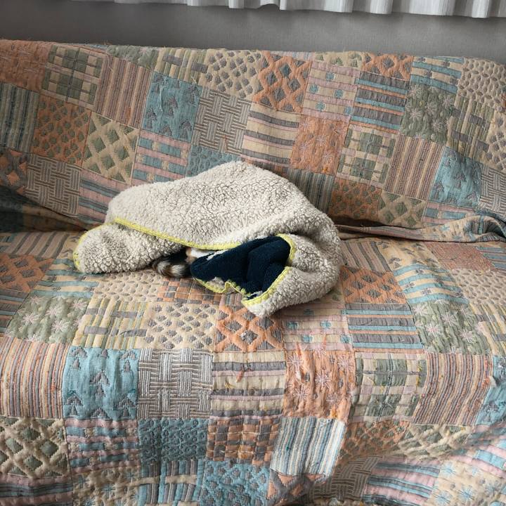 Fed2145c 8952 4f4e 8866 38b86b3f40b2 1566706982409