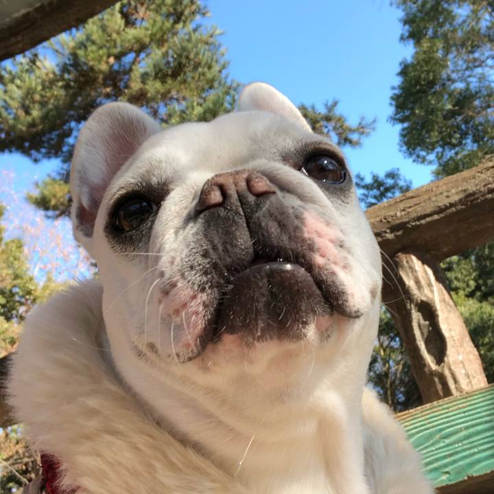 Fed28951 beaf 4849 9b5c e08daf1310f7 1546662701241