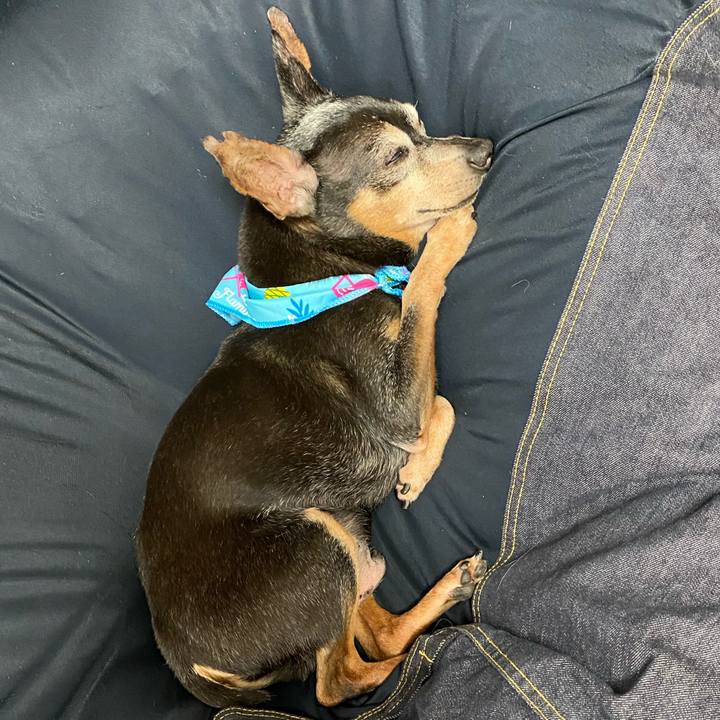 Fed2964d af3f 4a6d 8cfc ceecbeb9ab8a 1595165351635